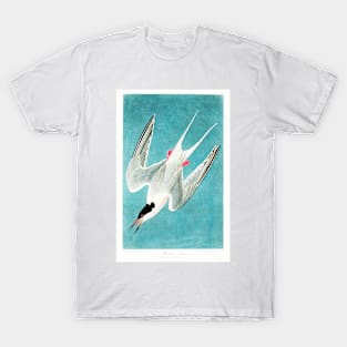 Roseate Tern from Birds of America (1827) T-Shirt